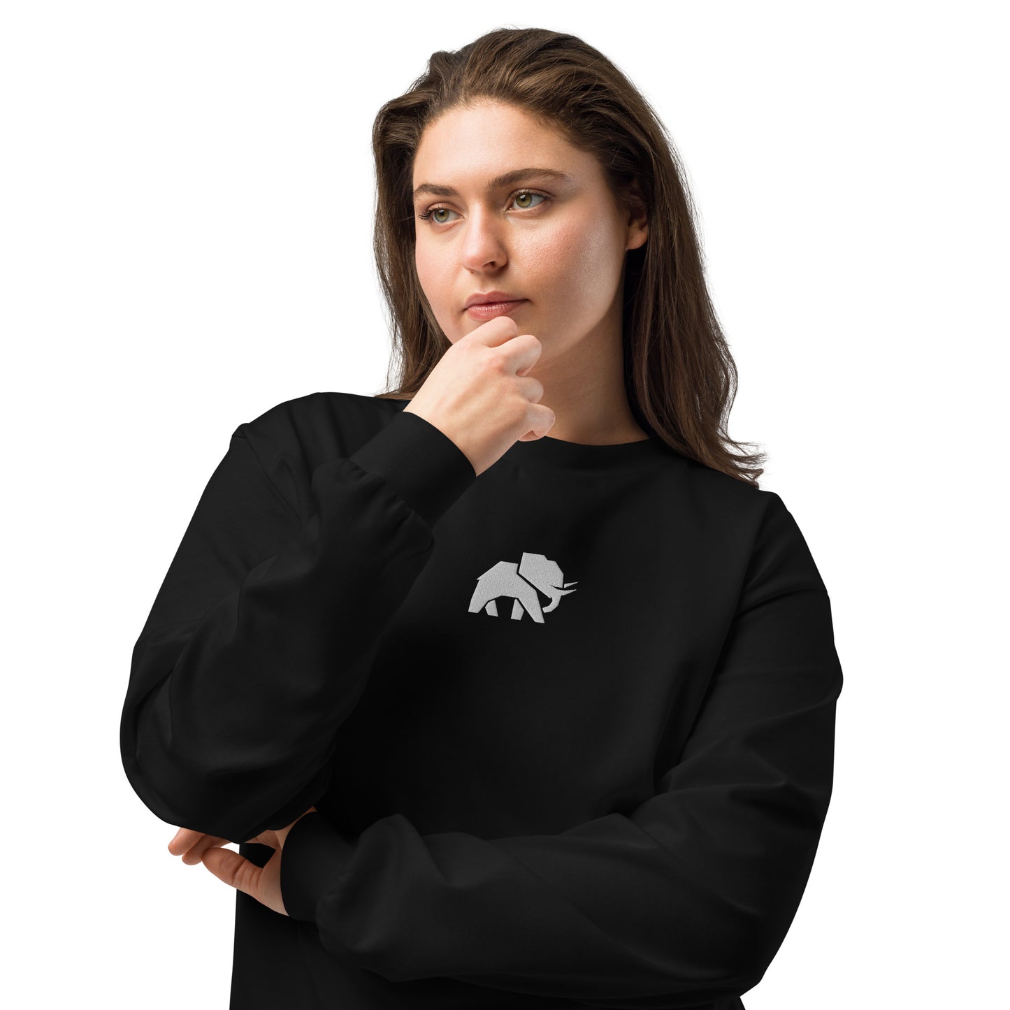 Premium heavyweight long sleeve shirt