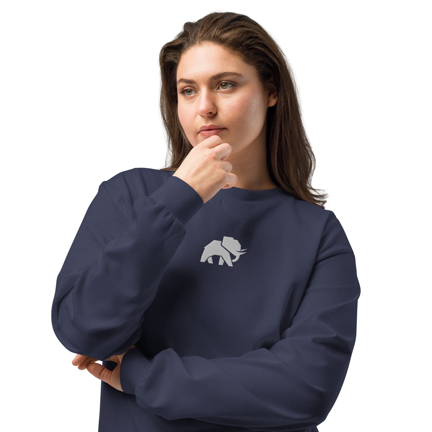 Premium heavyweight long sleeve shirt